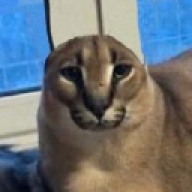 Larsern