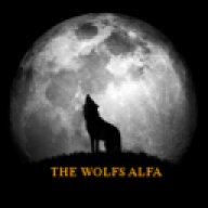 TheWolfsAlfa198