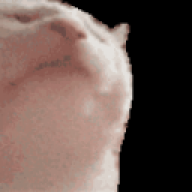 Sofus
