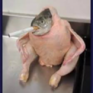 Lurd