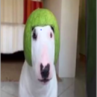 bjerktuah