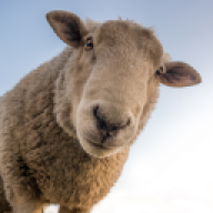 Jon Bjørnar Nøkken