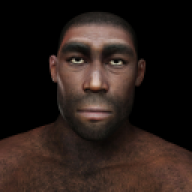 Bjort Wilson