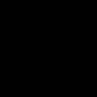 Noah1903
