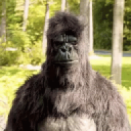 alexsandermrlee20007