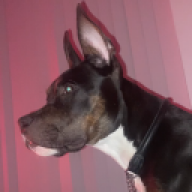 dosthe1