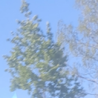 Rullestol_nicolay11@outlo