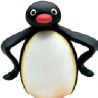 Pingu99