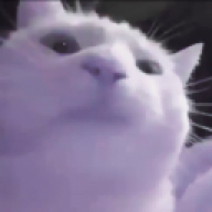 skonnk
