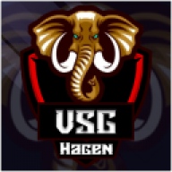 Vsg hagen