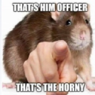 rat_enjoyer