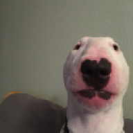 paulsen