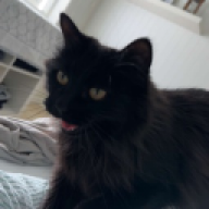 Pål Pow
