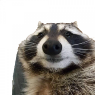 Theodor