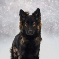 K9U