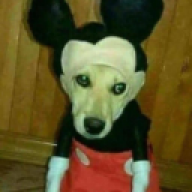 Hyposniffer