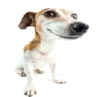 Nysimann
