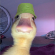 Herman EA