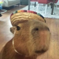 MattiBoy