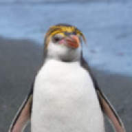 Hjemløs_willi