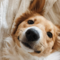 lillesmule