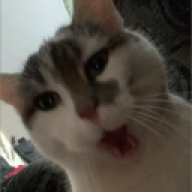 Jens
