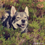 Marti