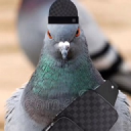 Joshern1