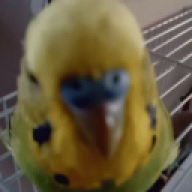 mariamoe
