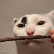 Moby_Huge