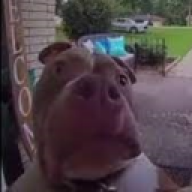 olavthebeast