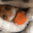 Marius:)