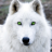 hvitewolf