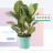 Ola Slider