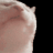 Sofus