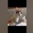 marZ_1