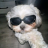 jakob_