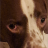 Intenseek