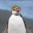 Hjemløs_willi