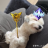 MaxUWU