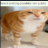 pål