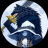 QR8_reptile