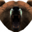 Rocket Bear